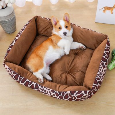 CANAPE POUR CHIEN | Oli - Joli Doggy
