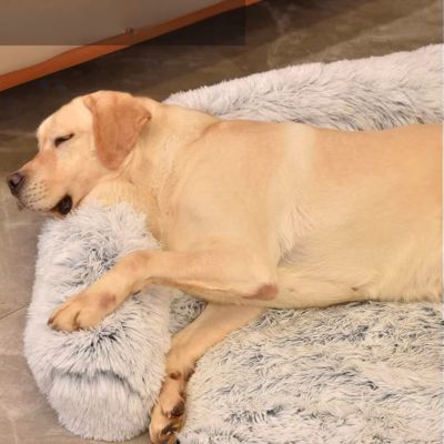 Canapé pour chien XXL | Nala™ - Joli Doggy