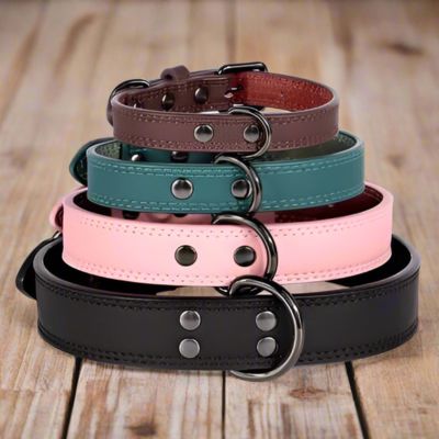 Collier Chien Cuir | Classique (25 - 53cm) - Joli Doggy