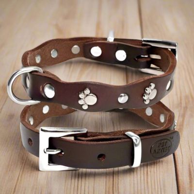 Collier Chien Cuir | Clouté (14 - 42cm) - Joli Doggy