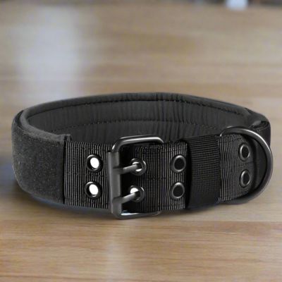 Collier Chien | Double Trou (37 - 65cm) - Joli Doggy