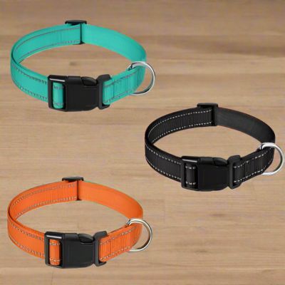 Collier Chien | Universel (20 - 70cm) - Joli Doggy