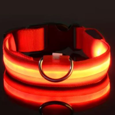 Collier Lumineux Chien | Batterie (28 - 56cm) - Joli Doggy