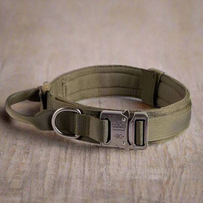 Collier pour Chien | Poignée (38 - 63cm) - Joli Doggy