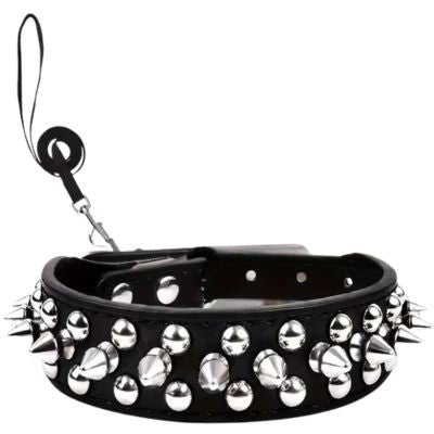 Collier pour Chien | Rivet (21 - 57cm) - Joli Doggy