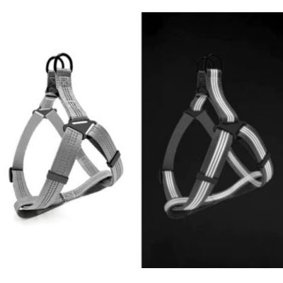 Harnais Chien en Y | (42 - 87cm) - Joli Doggy