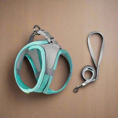 Harnais Chien | Laisse Incluse (28 - 62cm) - Joli Doggy