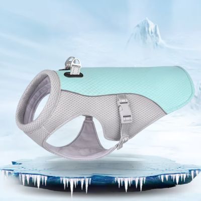 Harnais Chien | Rafraîchissant (45 - 145cm) - Joli Doggy