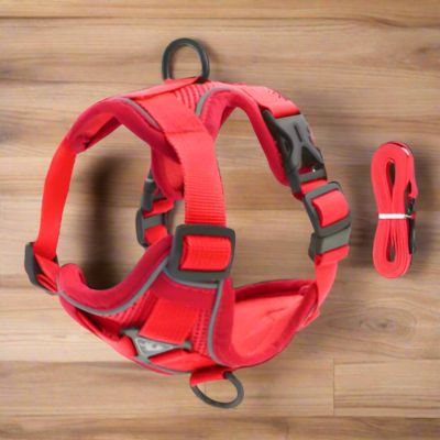 Harnais Petit Chien | Laisse Incluse (30 - 52cm) - Joli Doggy