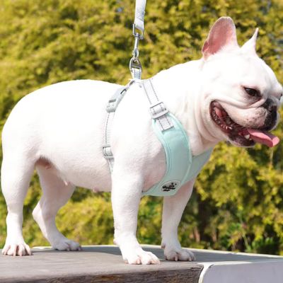 Harnais pour Chien | Modèle X (38 - 60cm) - Joli Doggy