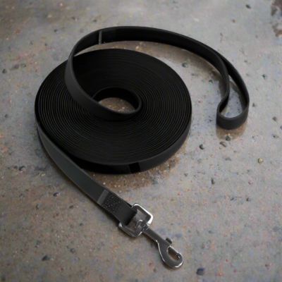 Laisse Chien | Imperméable - Joli Doggy