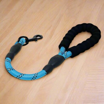 Laisse Courte Chien | Réfléchissante - Joli Doggy