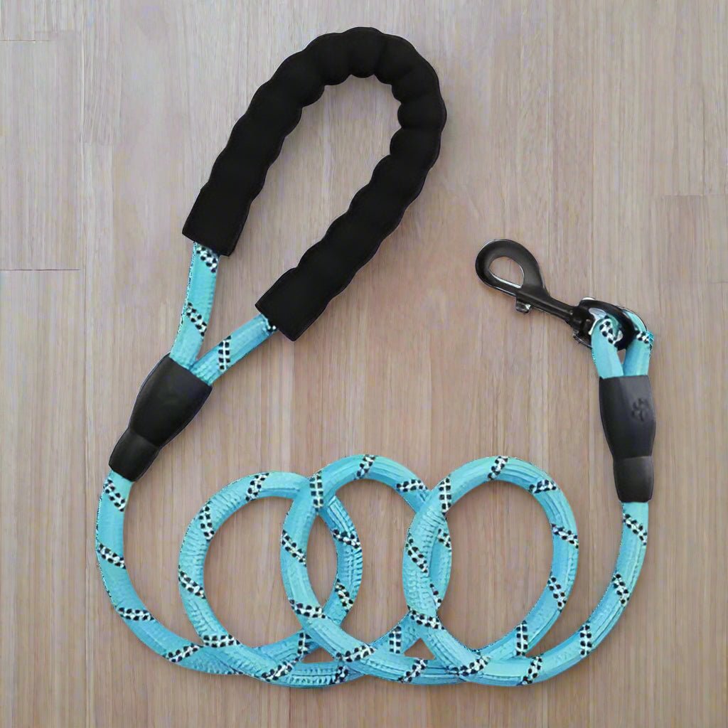 Laisse de Chien | Réfléchissante - Joli Doggy