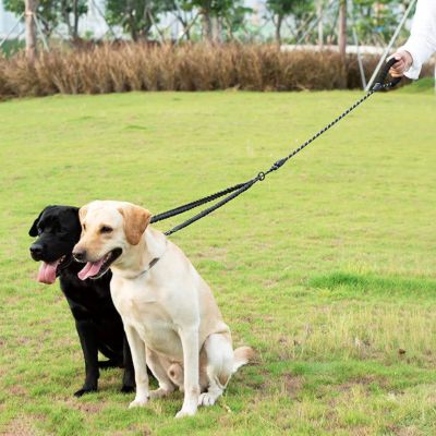 Laisse Double Chien | Moyen - Gros Chien - Joli Doggy
