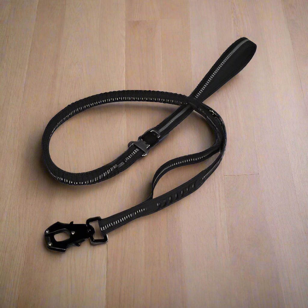 Laisse pour Chien | Attache Voiture - Joli Doggy