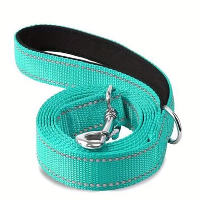 Laisse pour Chien | Universelle - Joli Doggy