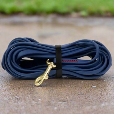 Longe Chien | Imperméable Etroite - Joli Doggy