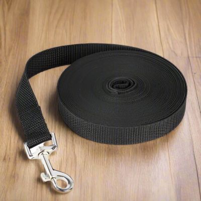 Longe pour Chien | Multi - Joli Doggy