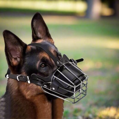 MUSELIÈRE | Grillage - Joli Doggy