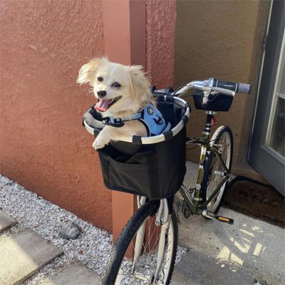 PANIER VELO CHIEN | 5 kg - Joli Doggy