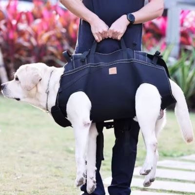 SAC A DOS POUR CHIEN │ 15 à 37 kilos - Joli Doggy