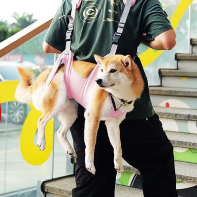 Sac à dos pour transport chien | 10 kg max - Joli Doggy