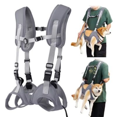Sac à dos pour transport chien | 10 kg max - Joli Doggy