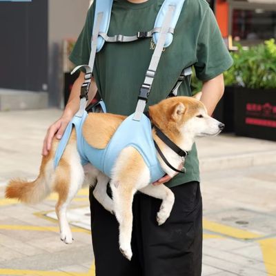Sac à dos pour transport chien | 10 kg max - Joli Doggy