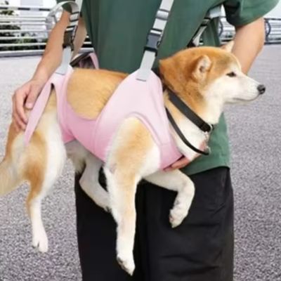 Sac à dos pour transport chien | 10 kg max - Joli Doggy