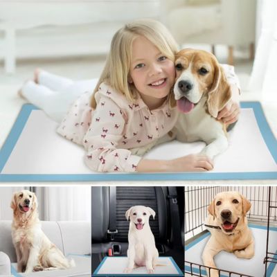 TAPIS ABSORBANT CHIEN | Chipie™ - Joli Doggy