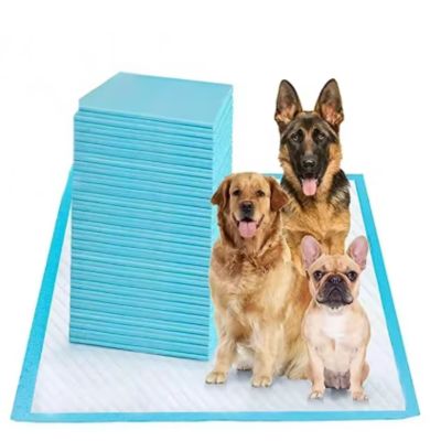 TAPIS ABSORBANT CHIEN | Chipie™ - Joli Doggy