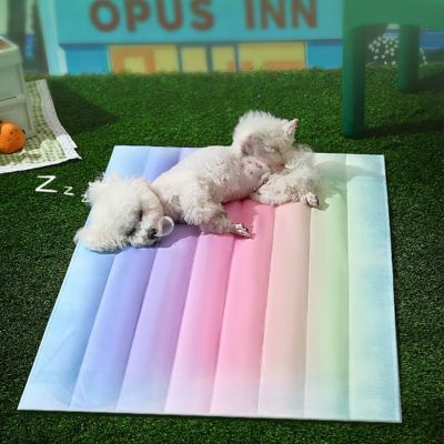 TAPIS RAFRAICHISSANT CHIEN │ Perle™ - Joli Doggy