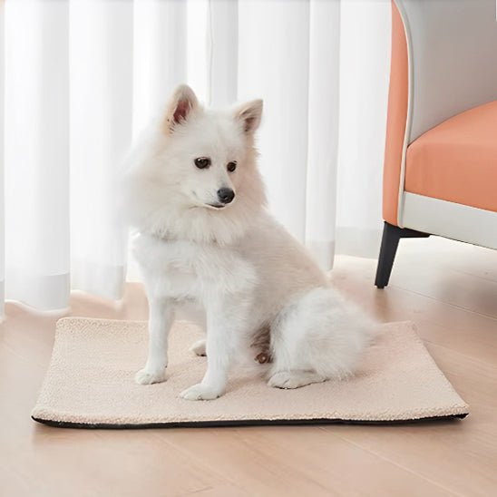 Tapis XXL pour chien | Scott™ - Joli Doggy