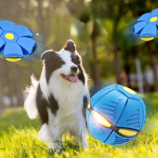 Balle stimulante imprévisible pour chiens | Jumping Ball™ - Joli Doggy