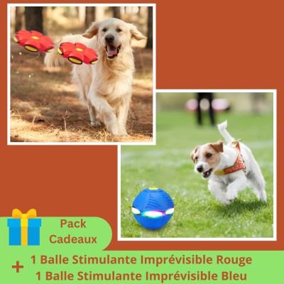 Balle stimulante imprévisible pour chiens | Jumping Ball™ - Joli Doggy