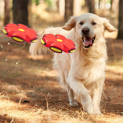Balle stimulante imprévisible pour chiens | Jumping Ball™ - Joli Doggy