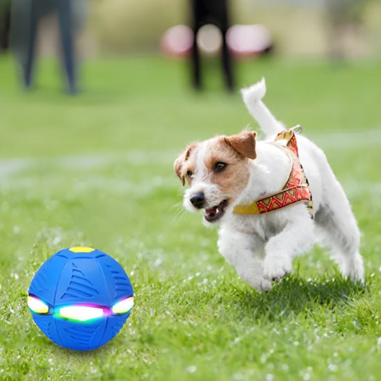 Balle stimulante imprévisible pour chiens | Jumping Ball™ - Joli Doggy