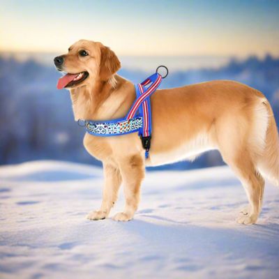 Chien Harnais Anti Traction | Polaire (38 - 80cm) - Joli Doggy