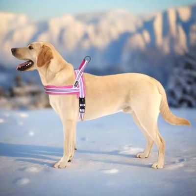 Chien Harnais Anti Traction | Polaire (38 - 80cm) - Joli Doggy