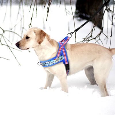 Chien Harnais Anti Traction | Polaire (38 - 80cm) - Joli Doggy