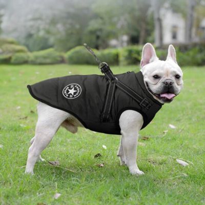 Chien Harnais | Manteau (36 - 83cm) - Joli Doggy