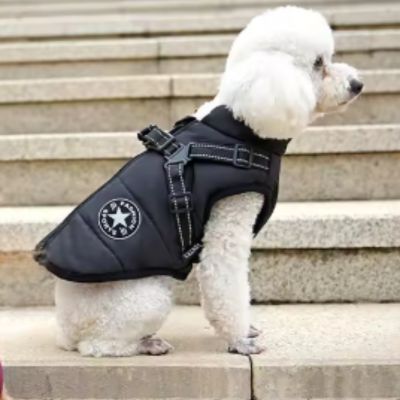 Chien Harnais | Manteau (36 - 83cm) - Joli Doggy