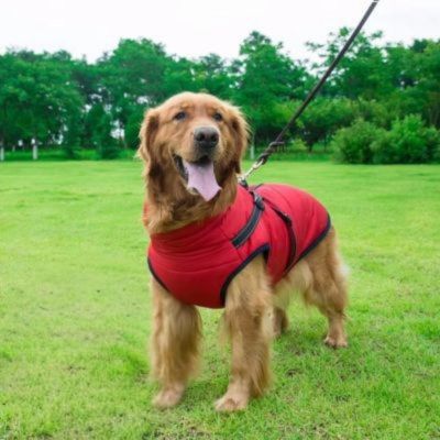 Chien Harnais | Manteau (36 - 83cm) - Joli Doggy