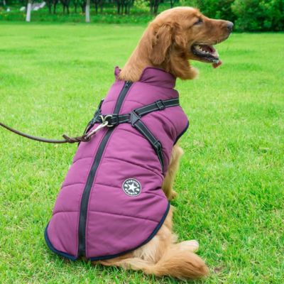 Chien Harnais | Manteau (36 - 83cm) - Joli Doggy