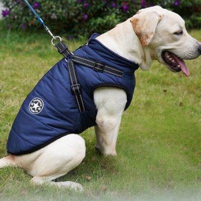 Chien Harnais | Manteau (36 - 83cm) - Joli Doggy