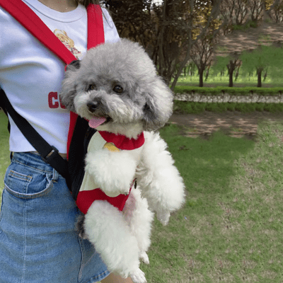 CHIEN SAC A DOS - Minimaliste - Joli Doggy