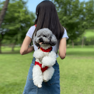 CHIEN SAC A DOS - Minimaliste - Joli Doggy