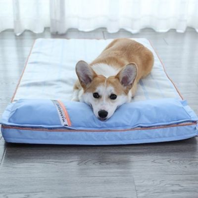CHIEN TAPIS RAFRAICHISSANT | Rio™ - Joli Doggy