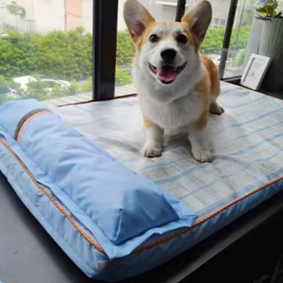 CHIEN TAPIS RAFRAICHISSANT | Rio™ - Joli Doggy