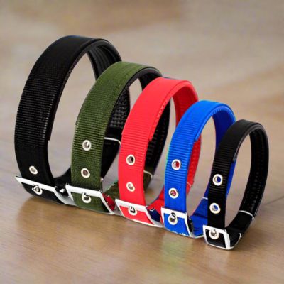 Collier Chien | A trou (26 - 57cm) - Joli Doggy